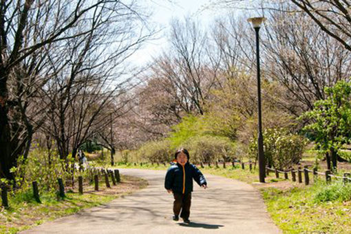 チェリーチャイルド保育園(東京都練馬区)