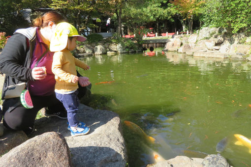 ハンニシゆとり保育園(兵庫県西宮市)