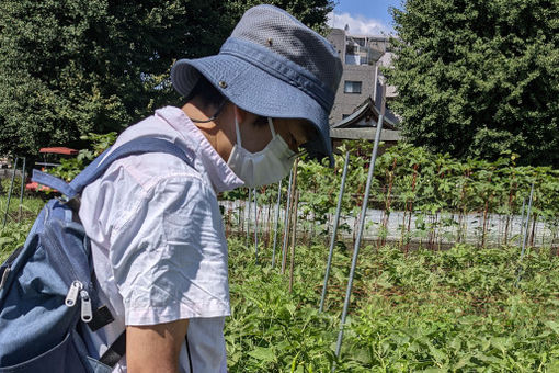 こぶし保育園(東京都板橋区)