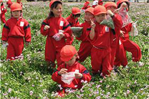 わかば幼稚園(山梨県中央市)