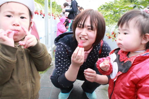 フェアリールーム天六園(大阪府大阪市北区)