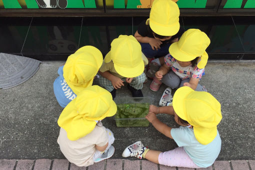 保育園ハイタッチキッズ(大阪府吹田市)