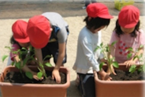 桂東こども園(京都府京都市西京区)