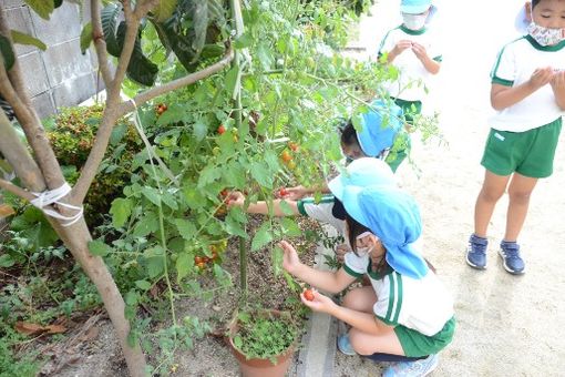 和光保育園(福岡県福岡市西区)