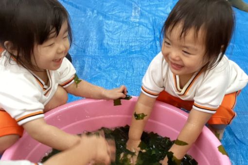 小規模保育施設ベビーランドさくら園(大阪府大阪市西淀川区)