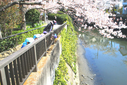 ぽっかぽっかにっけ保育園(兵庫県加古川市)