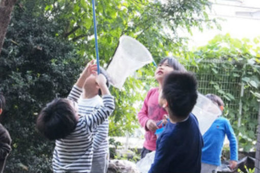 森村学園幼稚園「子どもの森」(神奈川県横浜市緑区)