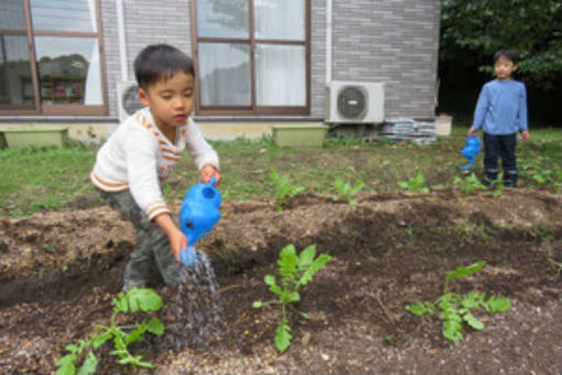 森村学園幼稚園「子どもの森」(神奈川県横浜市緑区)