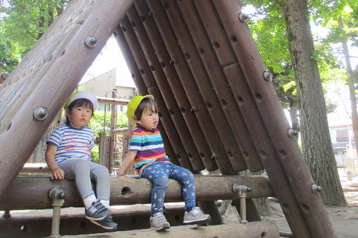 ぴっぴのもり保育園(東京都杉並区)