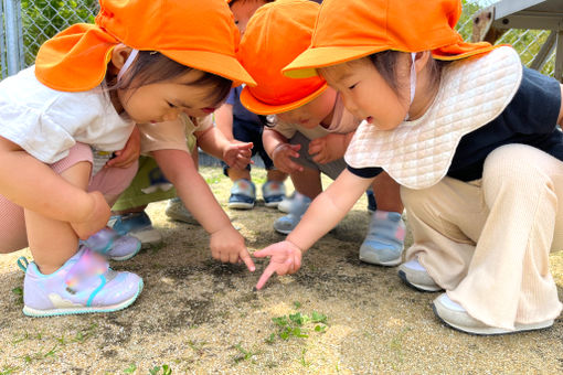 やまのみ保育園(福岡県福岡市東区)