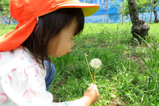 あおば保育園(神奈川県大和市)