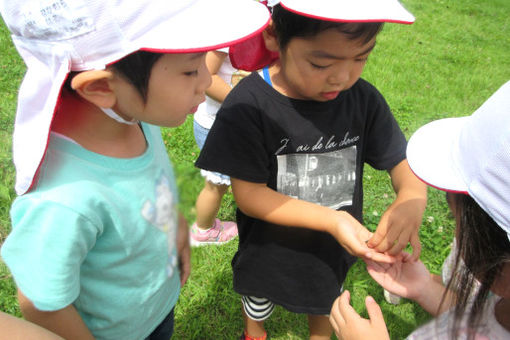 幼保連携型認定こども園 さくらの木(福島県白河市)