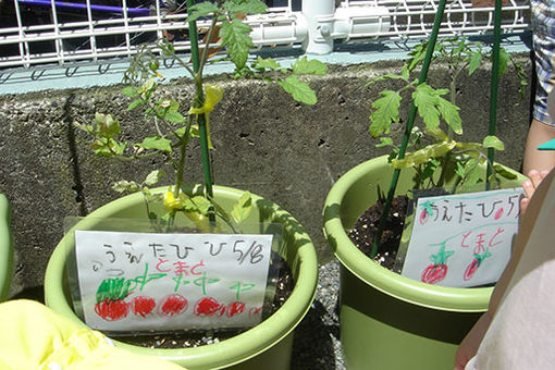 厚木・あさひ保育園(神奈川県厚木市)