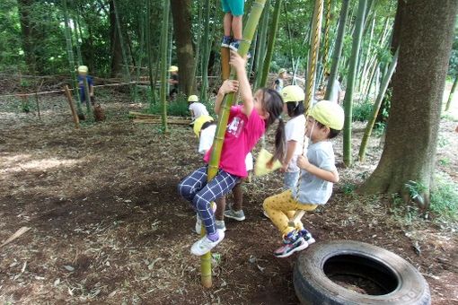 城の星おおたかの森保育園分園(千葉県流山市)