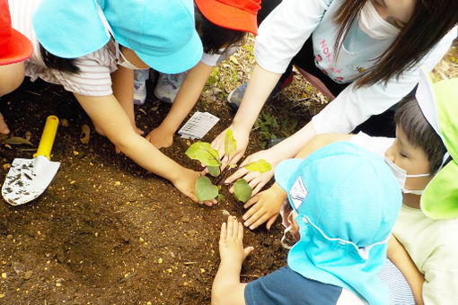 城の星第二保育園(千葉県流山市)