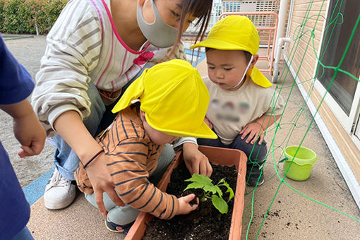 うぐす保育園上尾春日(埼玉県上尾市)