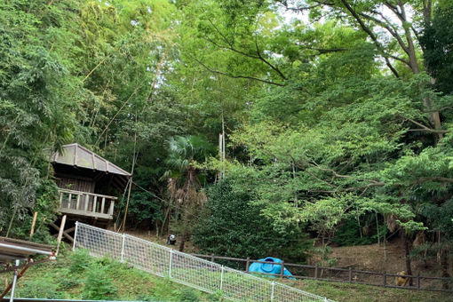 やまゆり保育園(神奈川県横浜市栄区)