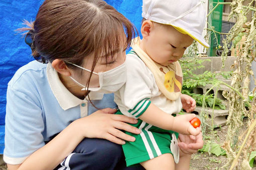 認定こども園めばえ幼稚舎(広島県広島市安佐南区)