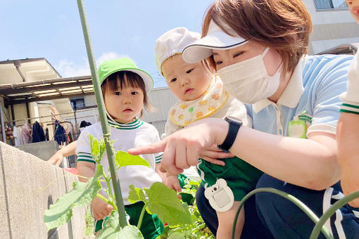 認定こども園 めばえ幼稚舎(広島県広島市安佐南区)