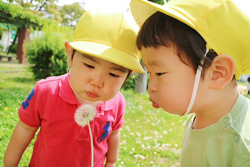 幼保連携型認定こども園 くすのきこども園(大阪府東大阪市)