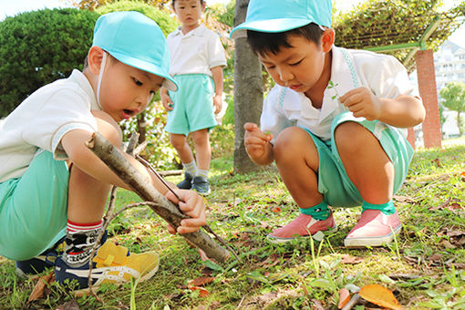 幼保連携型認定こども園 くすのきこども園(大阪府東大阪市)