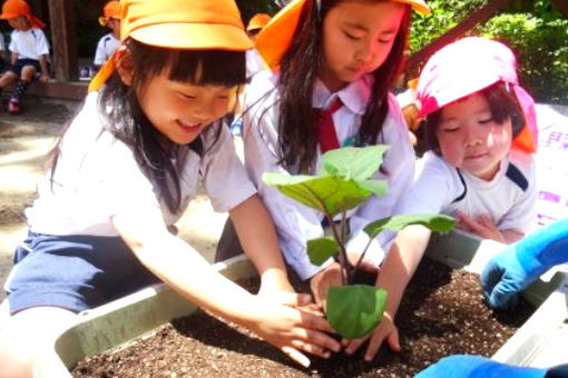 認定こども園 神宮幼稚園(新潟県新潟市中央区)