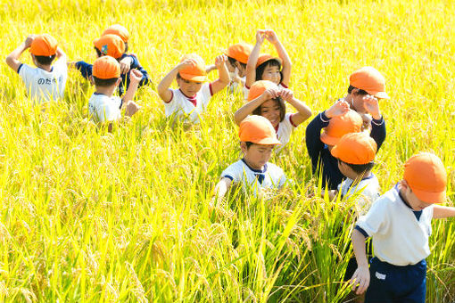 のだ山幼稚園(大分県大分市)