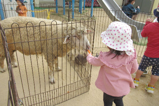 まつぼっくり保育園(兵庫県西宮市)