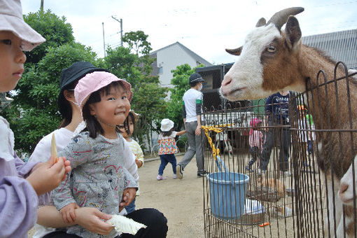 新甲東保育園(兵庫県西宮市)