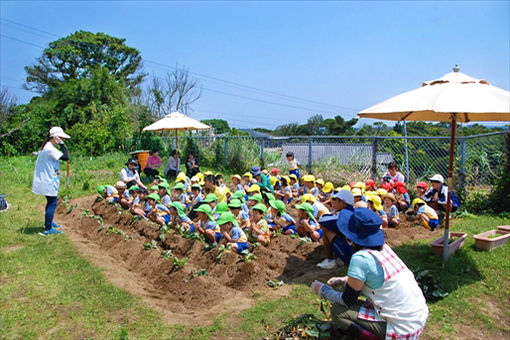 認定こども園野間幼稚園(鹿児島県熊毛郡中種子町)