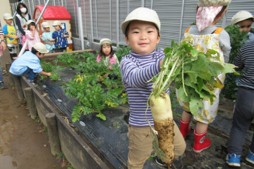 しらかし保育園(神奈川県川崎市中原区)