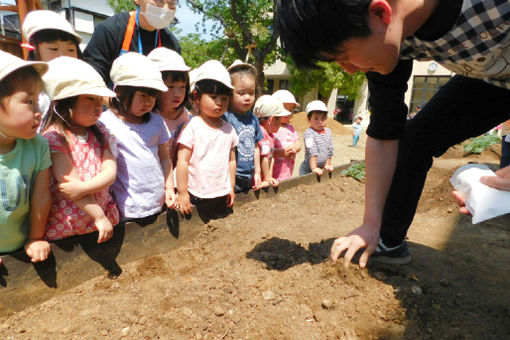 しらかし保育園(神奈川県川崎市中原区)