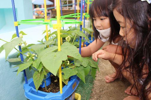 のぞみ幼稚園(広島県広島市西区)