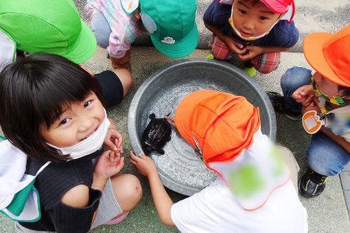 のぞみ幼稚園(広島県広島市西区)