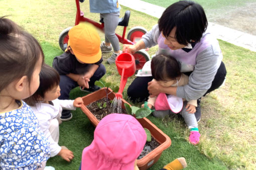 こばとこどもえんネスト(千葉県柏市)