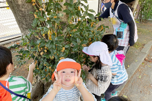 さなぎっこ保育園(神奈川県大和市)