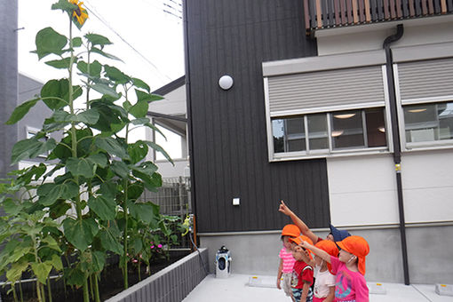 あきば第2保育園(神奈川県横浜市戸塚区)