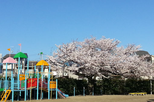 ときわ保育園(京都府京都市)