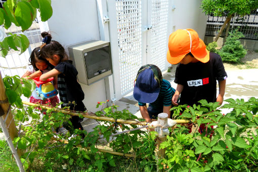 リーゴ正保保育園(愛知県名古屋市港区)