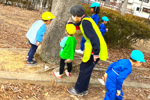 星幼育園 認定こども園(山形県山形市)