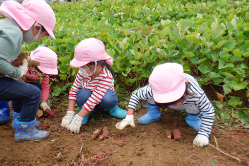 ぷらむ保育園 富谷(宮城県富谷市)