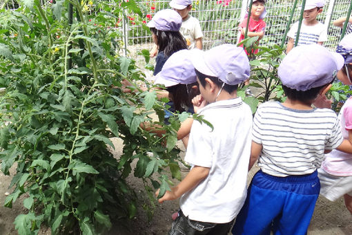 幼保連携型認定こども園枦谷つぐみ保育園(兵庫県神戸市西区)