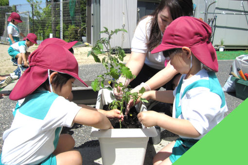 認定こども園くすのき幼稚園(大阪府河内長野市)