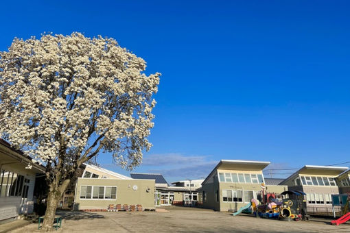 認定こども園成蹊幼稚園(茨城県つくば市)