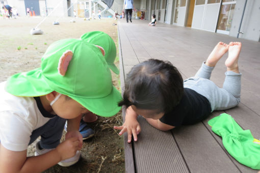 五月丘こども園(大阪府池田市)