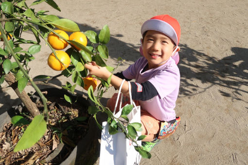 みくになかよしこども園(千葉県柏市)