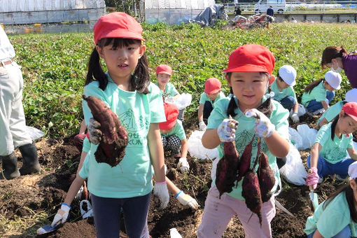 認定こども園みくに学園(千葉県柏市)