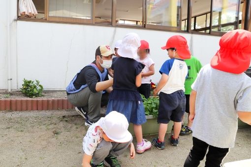 豊栄マリアこども園(新潟県新潟市北区)