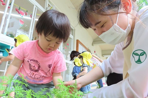 共研幼稚園(鹿児島県鹿児島市)