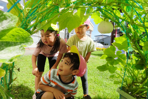 認定こども園白老小鳩保育園(北海道白老郡白老町)